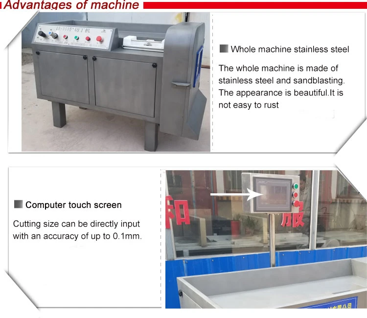 Frozen Cube Cutting Multi Dicer Slice Large Block Synthetic Meat Dicing Machine